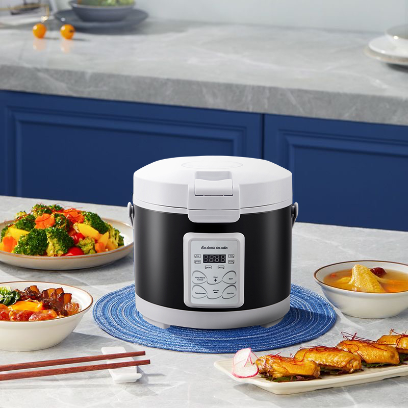 220V Mini Rijstkoker Soep Stoo - Home Cooking Menu recensie en prijs