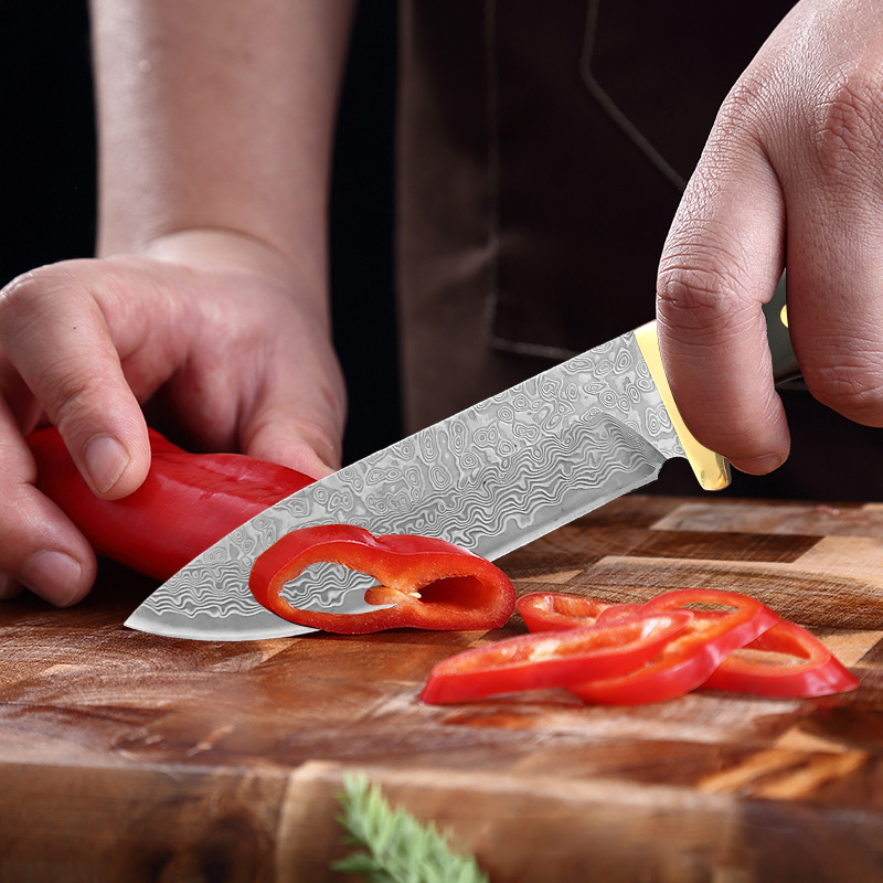 Premium VG10 Damascus Keukenme - Home Cooking Japanese Food recensie en prijs